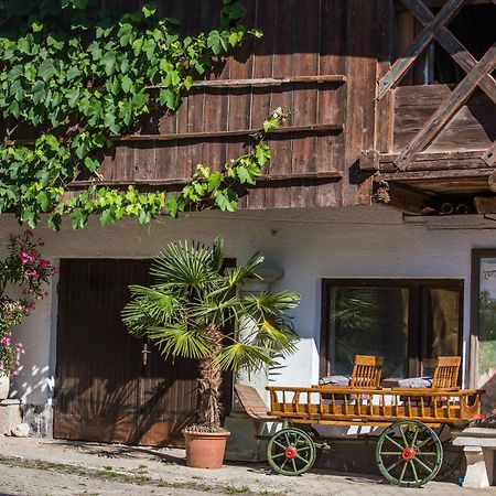 Bio Turisticna Kmetija Frcej-Zupan Villa Bled Luaran gambar