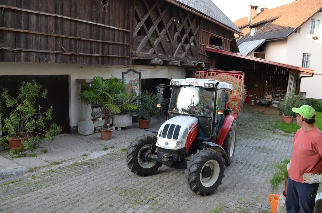 Bio Turisticna Kmetija Frcej-Zupan Villa Bled Luaran gambar