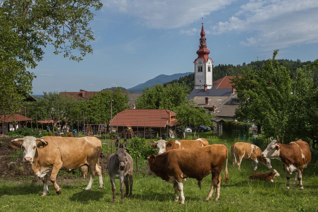 Bio Turisticna Kmetija Frcej-Zupan Villa Bled Luaran gambar