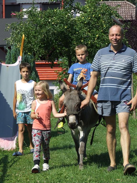 Bio Turisticna Kmetija Frcej-Zupan Villa Bled Luaran gambar