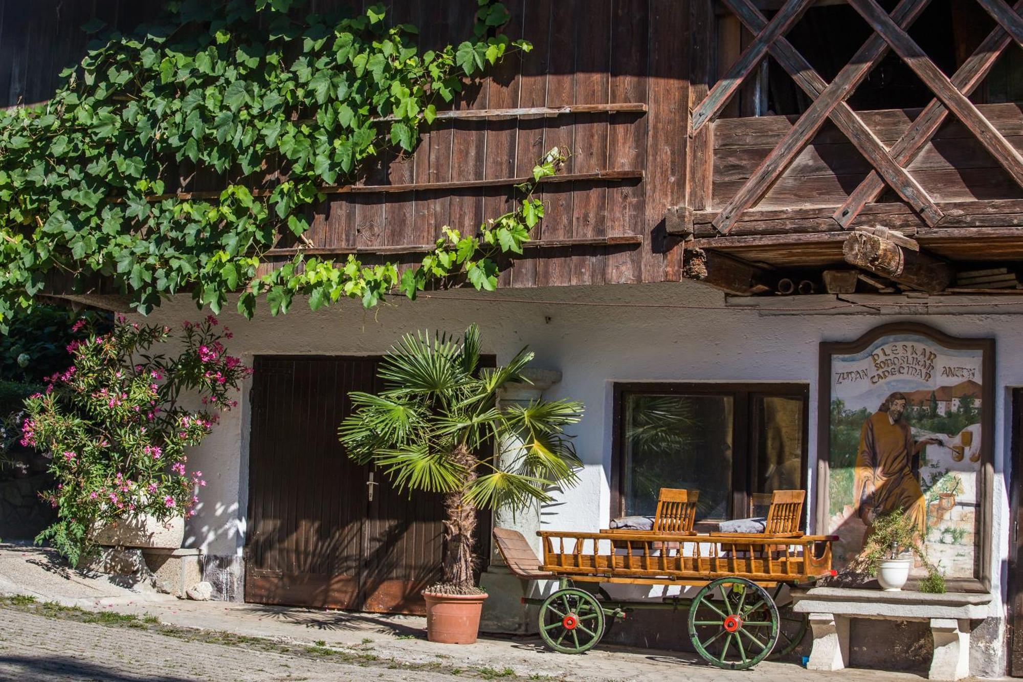 Bio Turisticna Kmetija Frcej-Zupan Villa Bled Luaran gambar