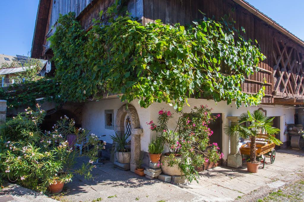 Bio Turisticna Kmetija Frcej-Zupan Villa Bled Luaran gambar